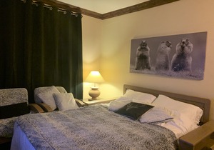 Ski in Ski out apartment for 4 people in 5 star residences