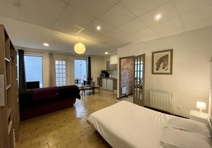 Spacious studio with patio in the center of Roanne