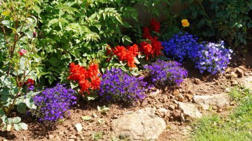 Le Caylar Bed & Breakfast | Acaba d'Entrar