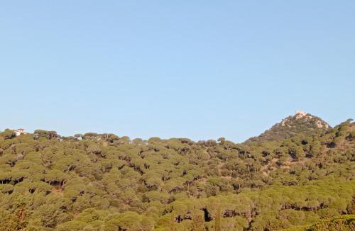 Cabrera de Mar Hostel | Alberg Cabrera de Mar Xanascat