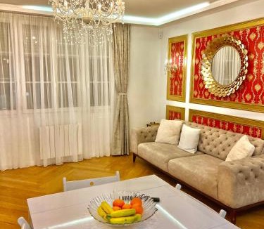Boissy-Saint-Leger Apartment | Alexandru Home