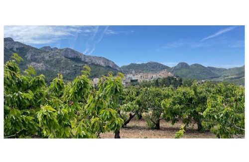 Tivissa House | Apartamento Ca Blai de Brull en el centro de Tivissa