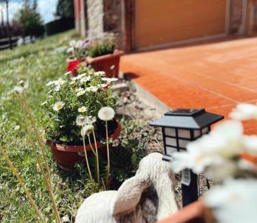 Font-Rubi Apartment | Apartaments Cel i Fusta