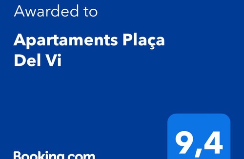 Old Town Apartment | Apartaments Plaça Del Vi