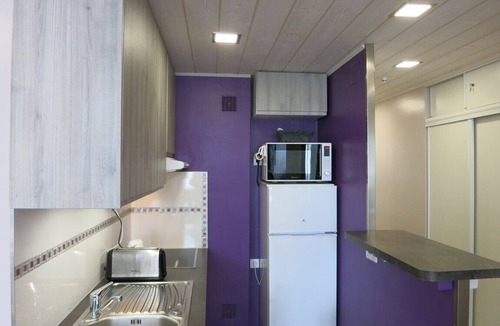 Le Lavachet Apartment | APARTMENT ENTIRELY RENOVATED ON THE SLOPES SOUTH WEST FACING - ROCHE ROUGE B23