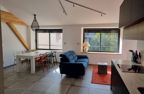 Millau Apartment | Apparemment Spacieux et Lumineux Haut Standing
