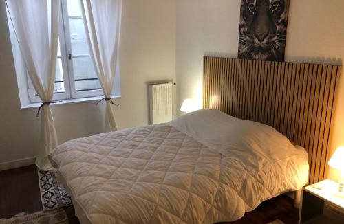 Aurillac Apartment | Appart Hotel Le Victor Hugo 2 G et sa pizza offerte