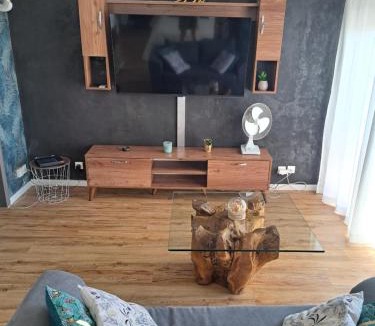 Centre Ville d'Ales Apartment | Appartement Cosy à Ales aux pieds des Cévennes