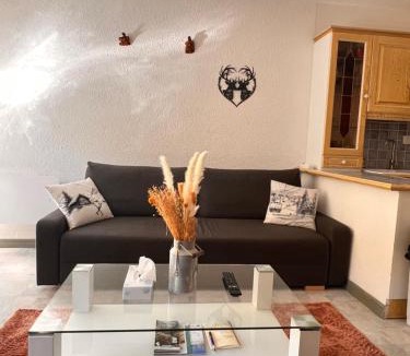Allos Apartment | Appartement entier duplex 34m2 au seignus Allos
