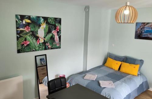 Vic-sur-Cere Apartment | appartement refait à neuf pour 3 personnes avec wi-fi