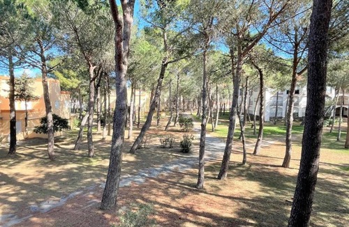 Argeles Plage Apartment | Appartement studio cabine à 300m de la plage - AR530-027