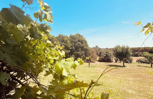 Caldes de Malavella Bed & Breakfast | B&B El Ranxo