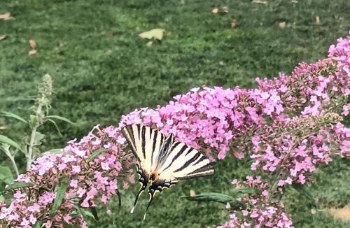 Salon-de-Provence Bed & Breakfast | BASTIDE DES MARTELIERES