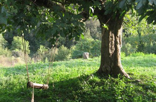 Talladell Hostel | Bed and Breakfast Casanova de Sant Miquel