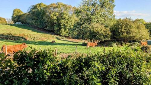 Dournazac House | Belle vue