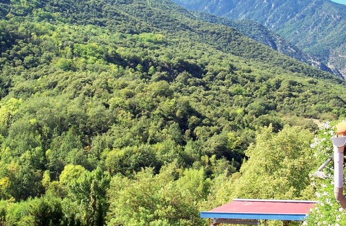 Estoher Cottage | Betwee sea and ski: a romantic village house with view on gardens and mountains