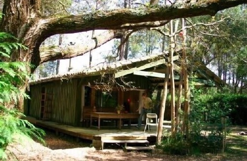 Soorts-Hossegor House | Between forest, Lac d'Hossegor & Atlantic beaches - Charming wooden house for 5p