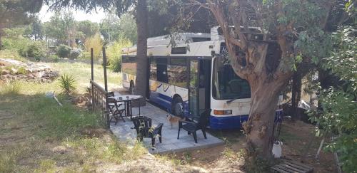 Millas Other | Bus aménagé