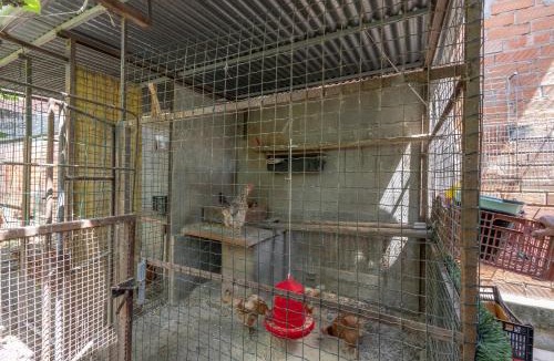 Sant Jaume de Llierca Apartment | Ca La Rosita