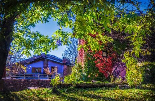 Argestues House | Cal Sodhi