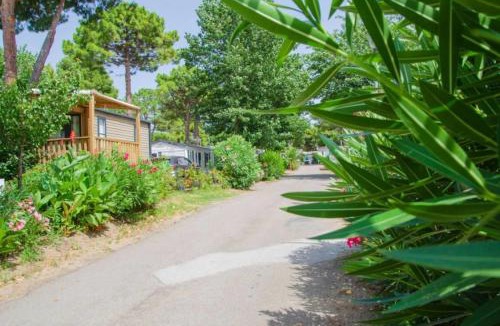Le Grau-dʼAgde Other | Camping 4 étoiles - Piscine - ccbbecd