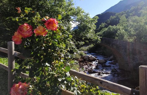 Benasque Other | Camping Aneto