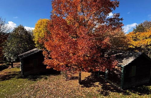 Recoules-Previnquieres Ski Chalet | Camping Le Plô * - Mini Chalet Olga 2 Rooms 5 People