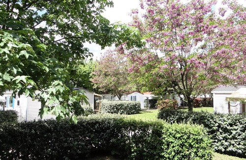 Rosieres House | Camping les Hydrangeas * - MOBILE HOME 3 bedrooms 6 people