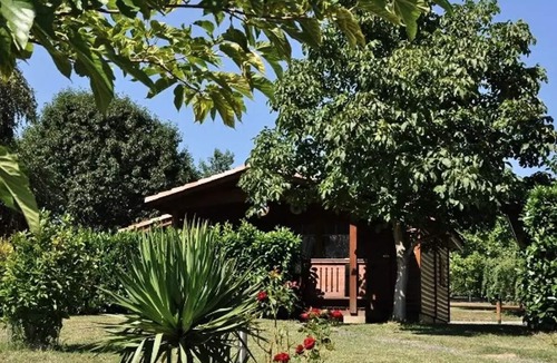 Montrejeau Ski Chalet | Campsite Midi Pyrenees * - Chalet PMR - suitable for people with reduced mobility 4 people