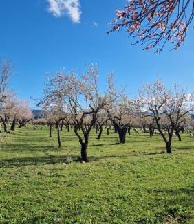 La Puebla de Castro Apartment | Casa albañil, aptos en la Ribagorza, arte, ciclismo, naturaleza y enoturismo, entre Graus y Torreciudad