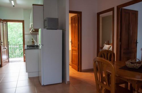 Bisaurri Apartment | Casa Javier