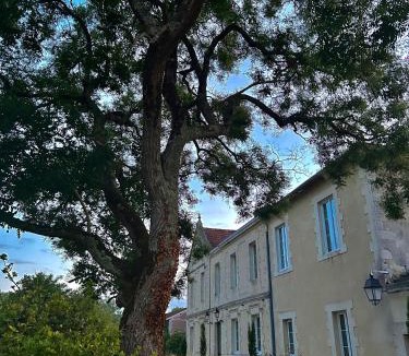 Queyrac Bed & Breakfast | Château Bernon Maison d Hotes - Piscine et SPA