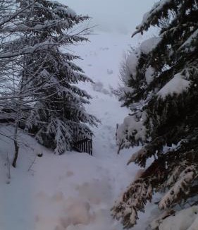 Orcieres-Merlette Ski Chalet | chalet à Orcieres merlette pour 10