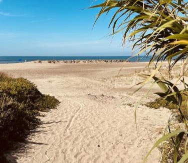 Le Grau-dʼAgde Ski Chalet | Chalet 30m from the Beach Terrace, Bikes & Parking