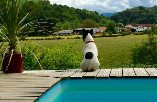 La Bastide-Clairence Villa | Chalet 4 (Sleeps 2, 1 Bedroom)
