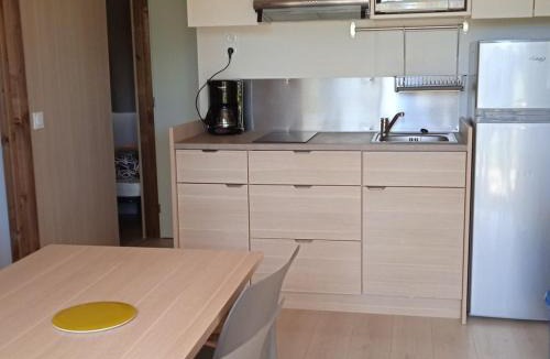 Pleaux Other | Chalet - 5 pers., animaux OK - API-1-52-2306