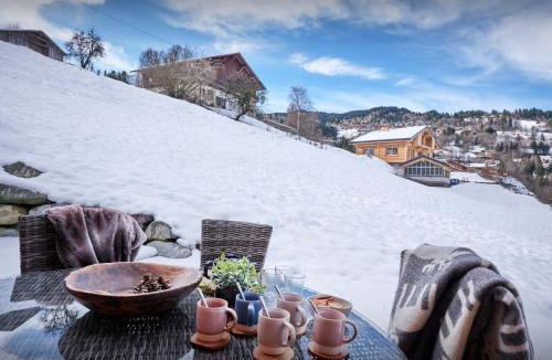 Saint-Gervais-les-Bains Ski Chalet | Chalet Etoile Nordique - OVO Network