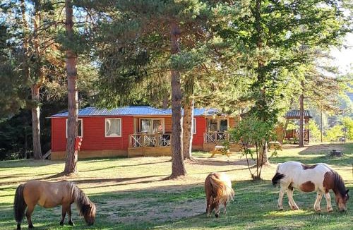 Camurac Other | Chalet et mobil homes dans la montagne au Camping les Sapins