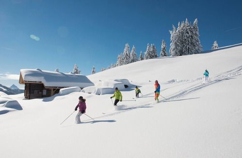 Manigod Ski Chalet | Chalet La Trafolée : summer in the mountain pastures, winter next to the slopes.