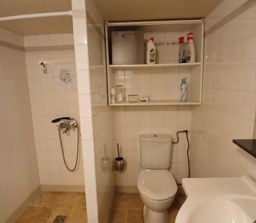 Escouloubre-les-bains Apartment | Chaleureux et lumineux à proximité d un lac et de stations de ski