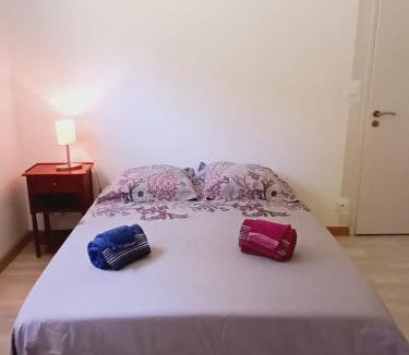 Fontanil-Cornillon House | Chambre à louer 15mnn de Grenoble-salle de bain privée-WIFI gratuit