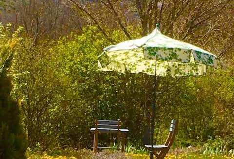 Mas-Saint-Chely Bed & Breakfast | Chambre d'hôtes Combes Les Aires de la Carline