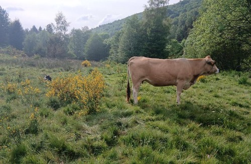 Belvezet Bed & Breakfast | Chambre d hote