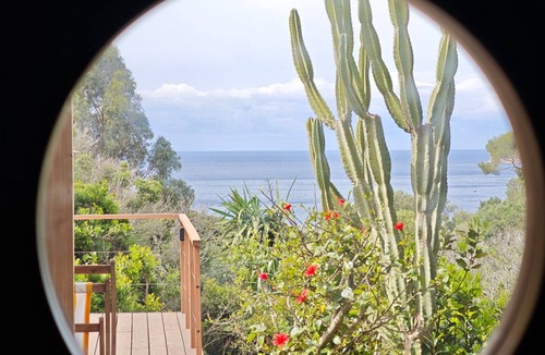 Ile du Levant Bed & Breakfast | Chambre vue mer terrasse végétation sculpturale Île du Levant naturisme