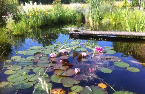 Rochechouart Bed & Breakfast | Chambres hôtes Le Champ Des Oiseaux