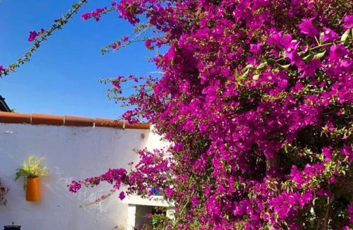 Le Grand Large Villa | Charmante villa 2 chambres à Canet-en-Roussillon, proche plage - FR-1-696-45
