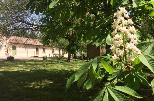 Saint-Estephe House | Chateau Haut Baron