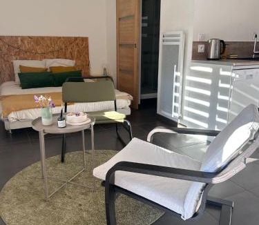 Millau Apartment | Chez Ambre et Lulu - Studio centre ville avec piscine