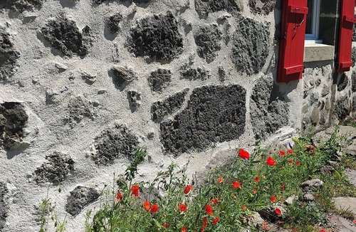 Saint-Martin-Valmeroux Cottage | Cottage 2 pers nature and calm in Cantal, animals accepted!