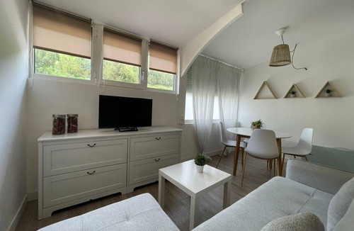 Astun Apartment | Cozy 1BR Apartment in Astun Ski Resort, 4 Guests, Great for Skiing!